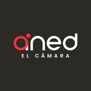 Cliente (19)